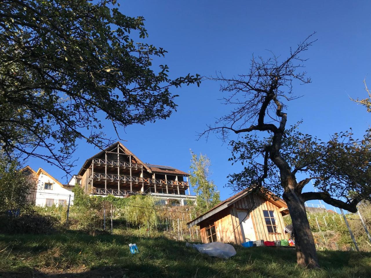 Atelier 67 Bed & Breakfast Oberschan Ngoại thất bức ảnh